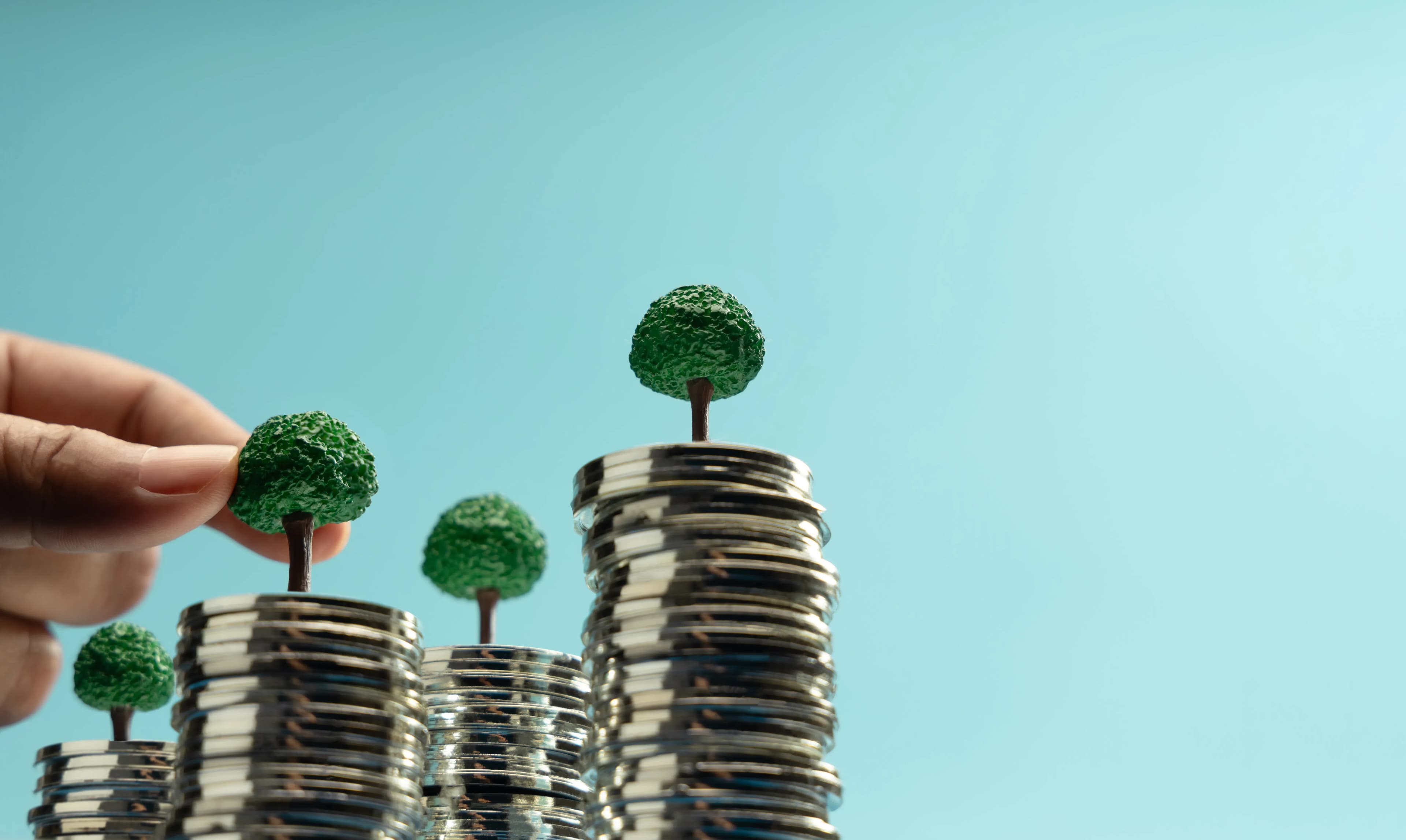 How to Build a Profitable Green Investment Portfolio in Clean Energy