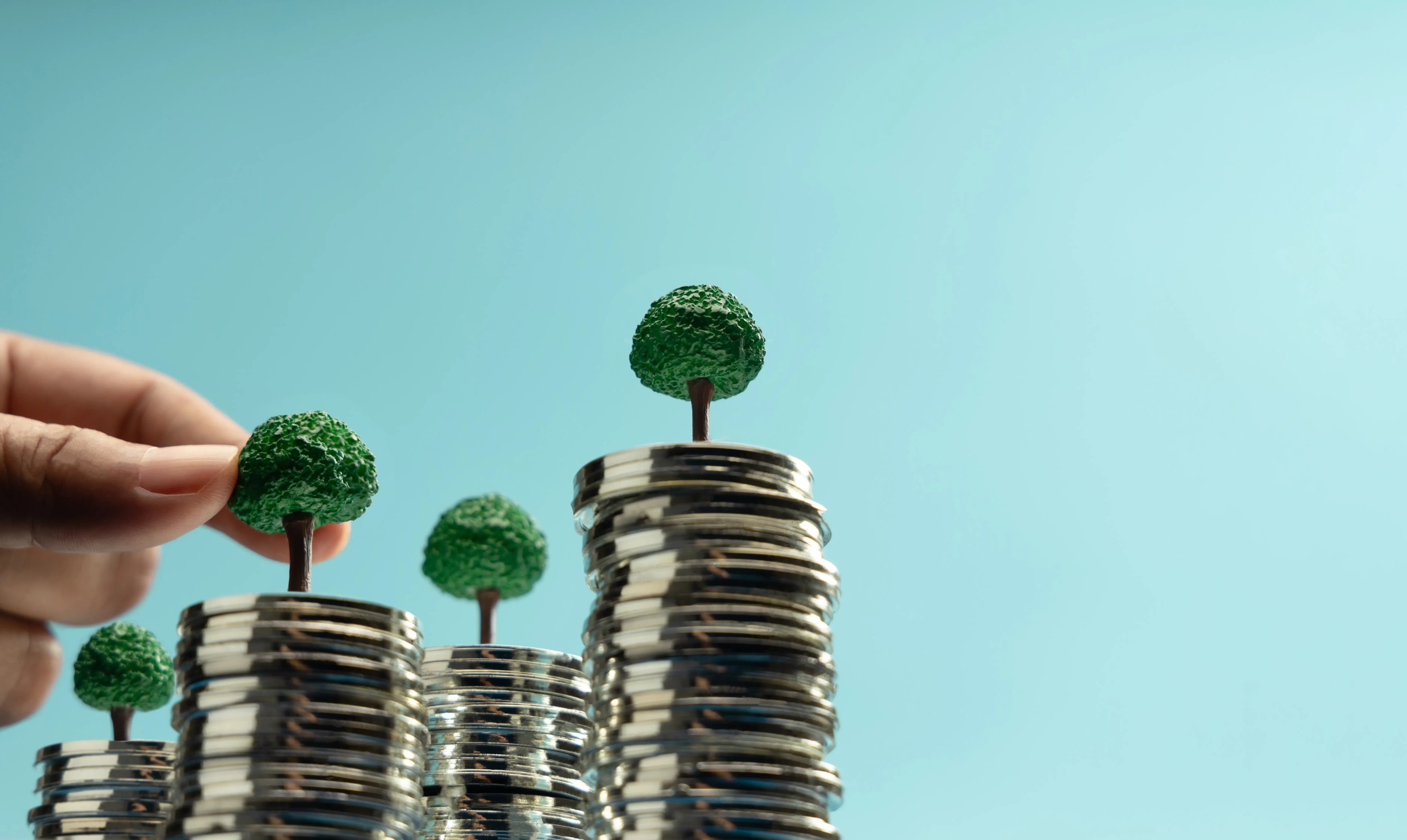 How to Build a Profitable Green Investment Portfolio in Clean Energy